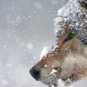 Séjours Québec